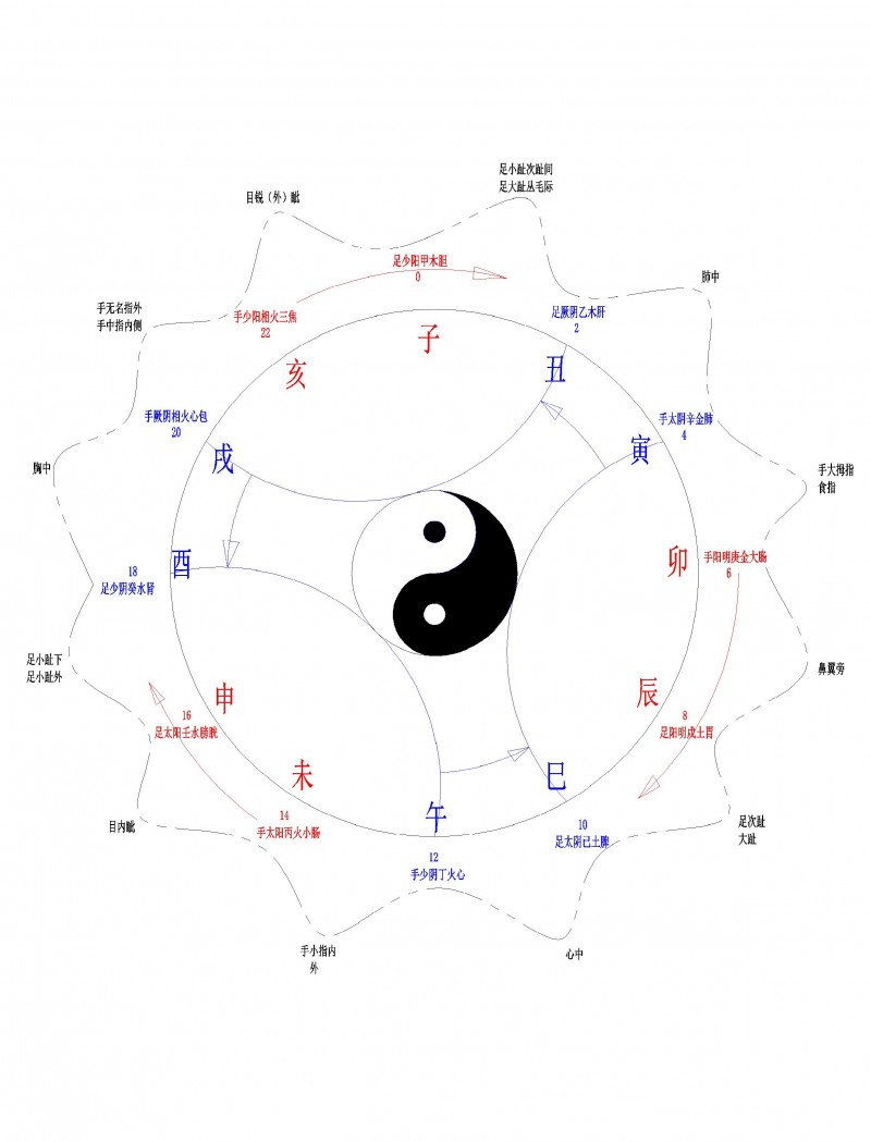 12经脉运行逻辑图-模型